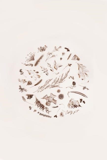 Download Free PDF Forms & Templates | Create, Edit, Print